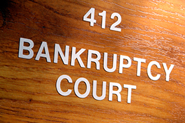 do I need bankruptcy trustee to go to bankruptcy court